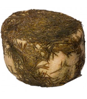 Formaggio stagionato al rosmarino