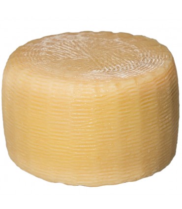 Formaggio pecorino bagnolese scamosciato stagionato 3 mesi