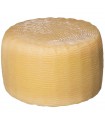 Formaggio pecorino bagnolese scamosciato stagionato 3 mesi