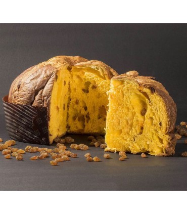 Panettone basso classico Gianfranco Nicolini, Classificato tra i primi 10 in Italia al concorso MASTRO PANETTONE 2019
