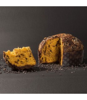 Panettone al cioccolato