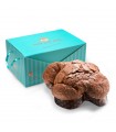 Colomba Nicolini