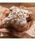 Colomba tradizionale