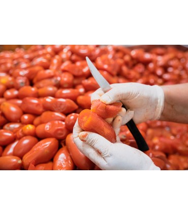 Barattolo di pomodori pelati San Marzano 300 Gr