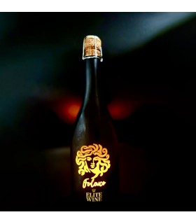 Prosecco DOC di Elite Wine. Bottiglia con LED luminosi