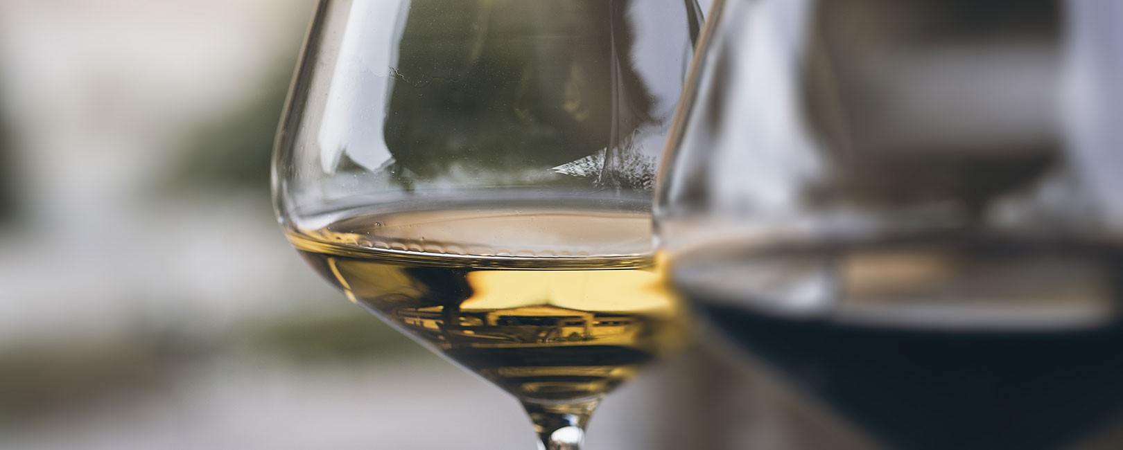 WINE TASTING